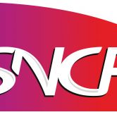 La SNCF branche le TGV Est sur le net